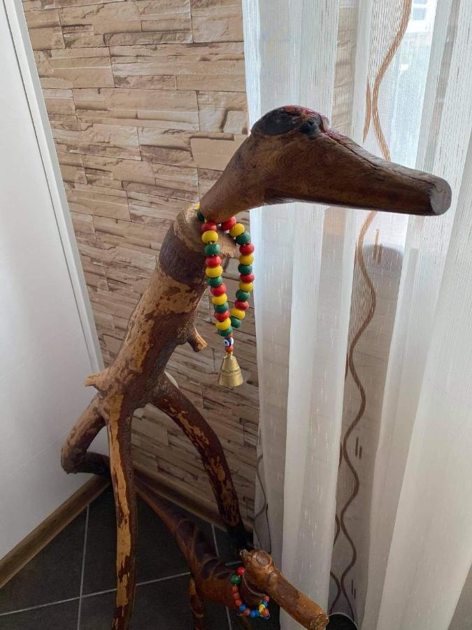 Studio Anastasia Sapareva Banya Luaran gambar