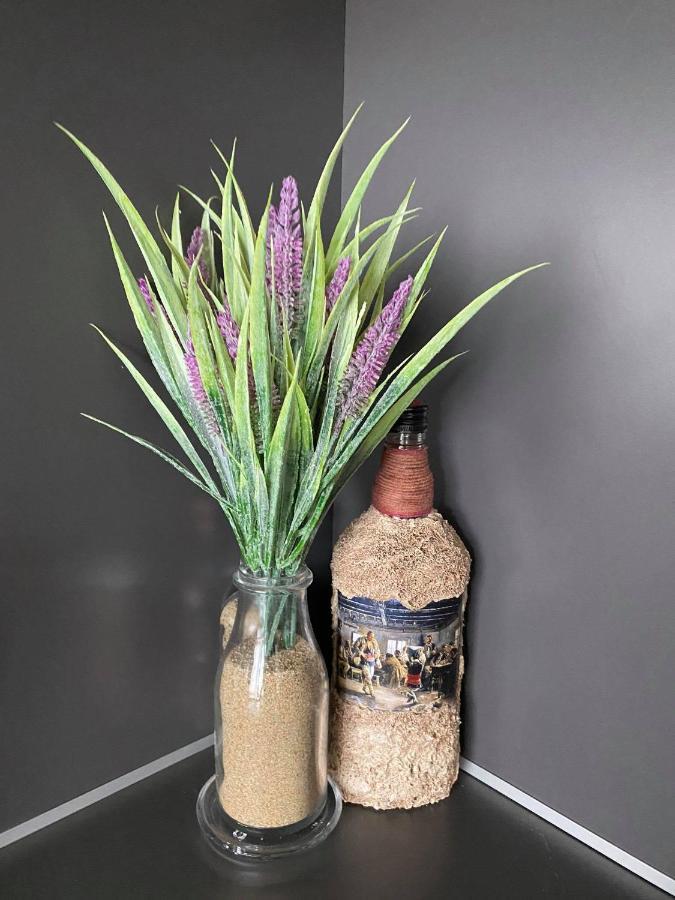 Studio Anastasia Sapareva Banya Luaran gambar