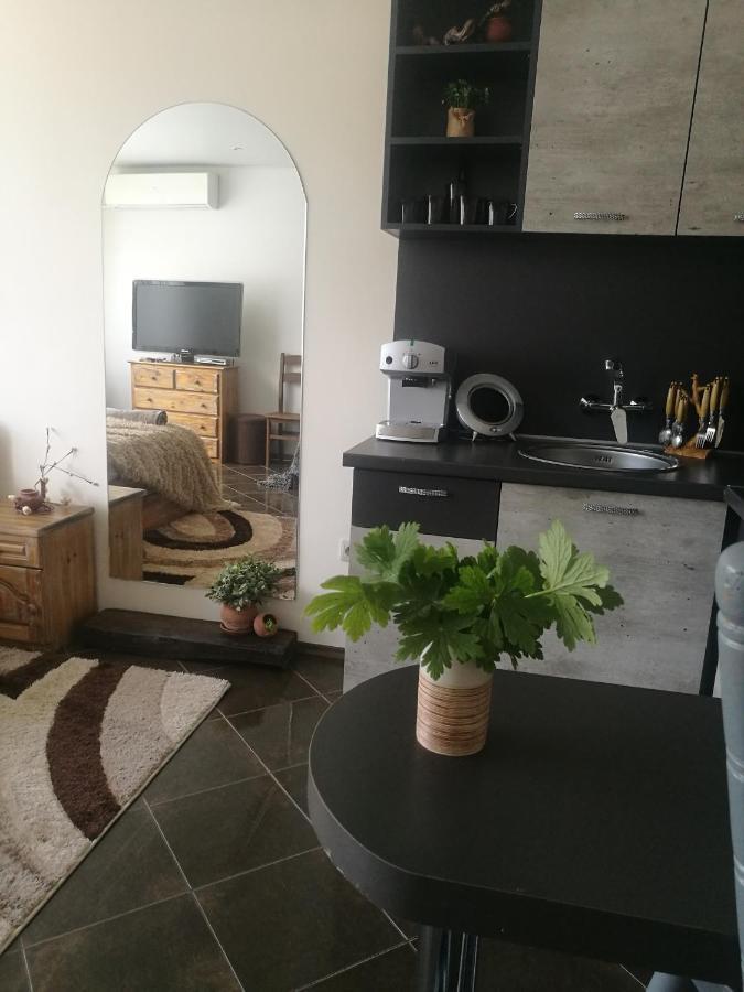 Studio Anastasia Sapareva Banya Luaran gambar