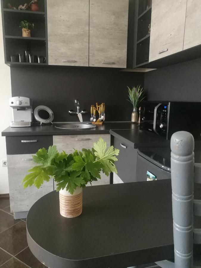 Studio Anastasia Sapareva Banya Luaran gambar