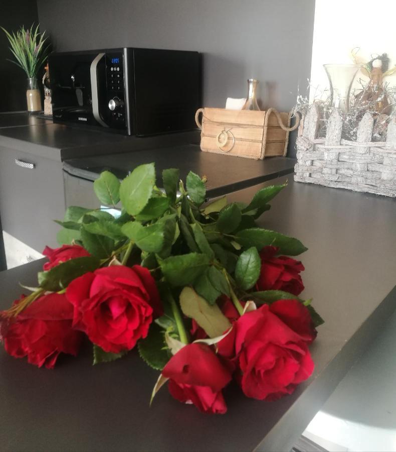 Studio Anastasia Sapareva Banya Luaran gambar