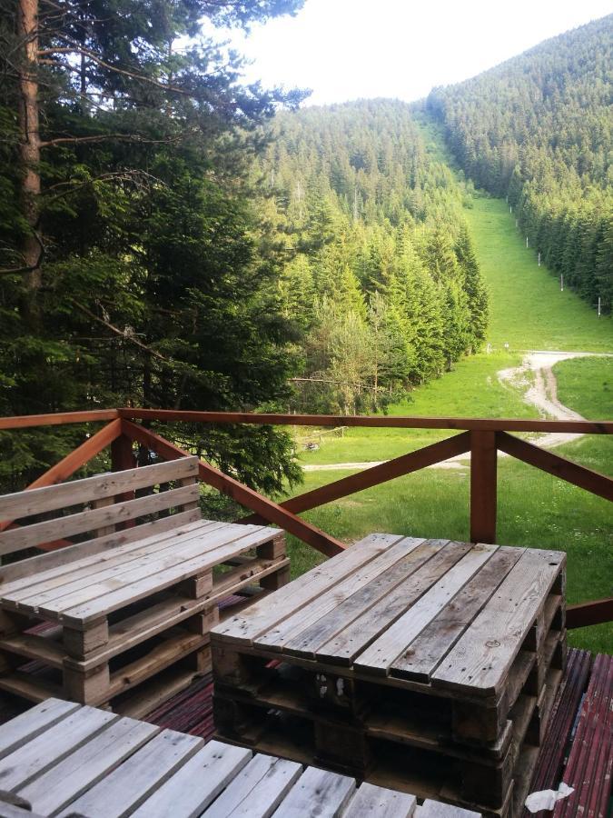 Studio Anastasia Sapareva Banya Luaran gambar