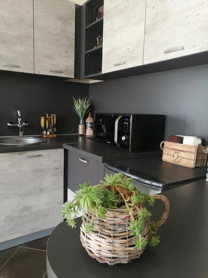 Studio Anastasia Sapareva Banya Luaran gambar